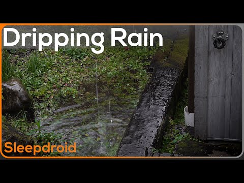 ► Dripping Rain Into Water Sounds for Sleeping ~Fall Asleep Faster with Rain Drops in Water (Lluvia)