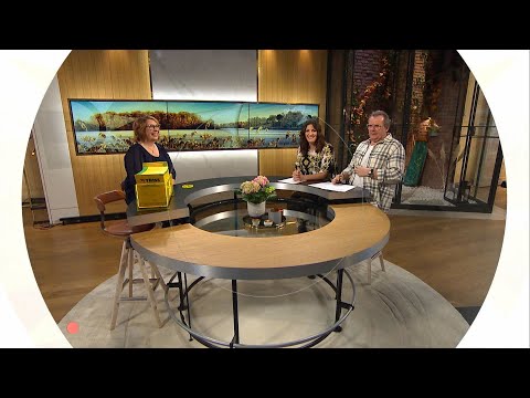 Steffo spårar ur helt i dagens trisskrap "sex bakifrån låter lite konstigt" - Nyhetsmorgon (TV4)