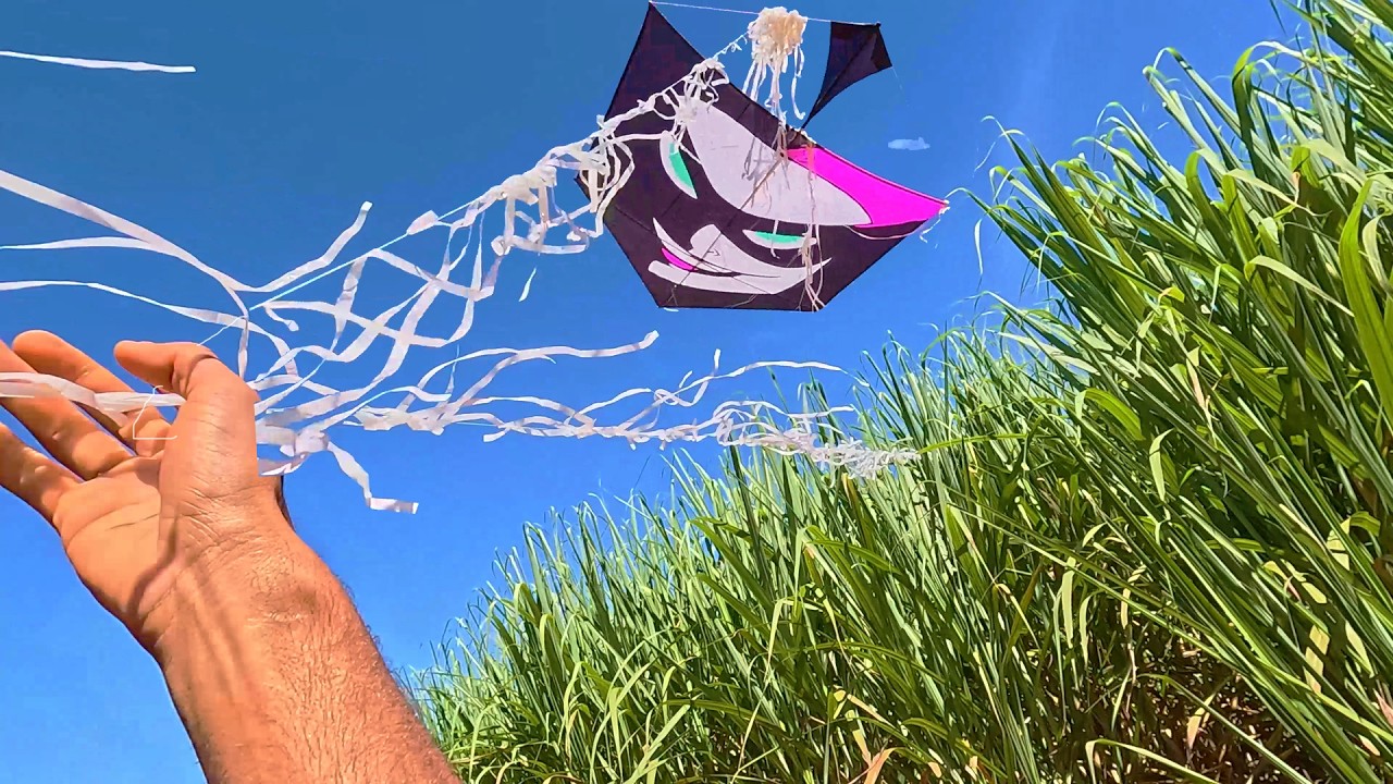 Pegando Só Pipão Monstro Cheio de Linha na Chepa em Santa Barbara!!! 🔥