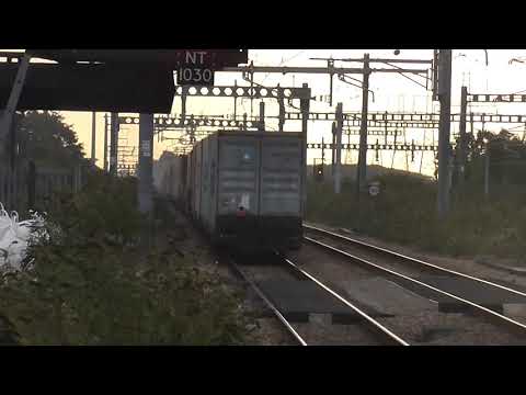 Freightliner Class 66 no: 66523 @ STJ {4L36} 10/09/2020.