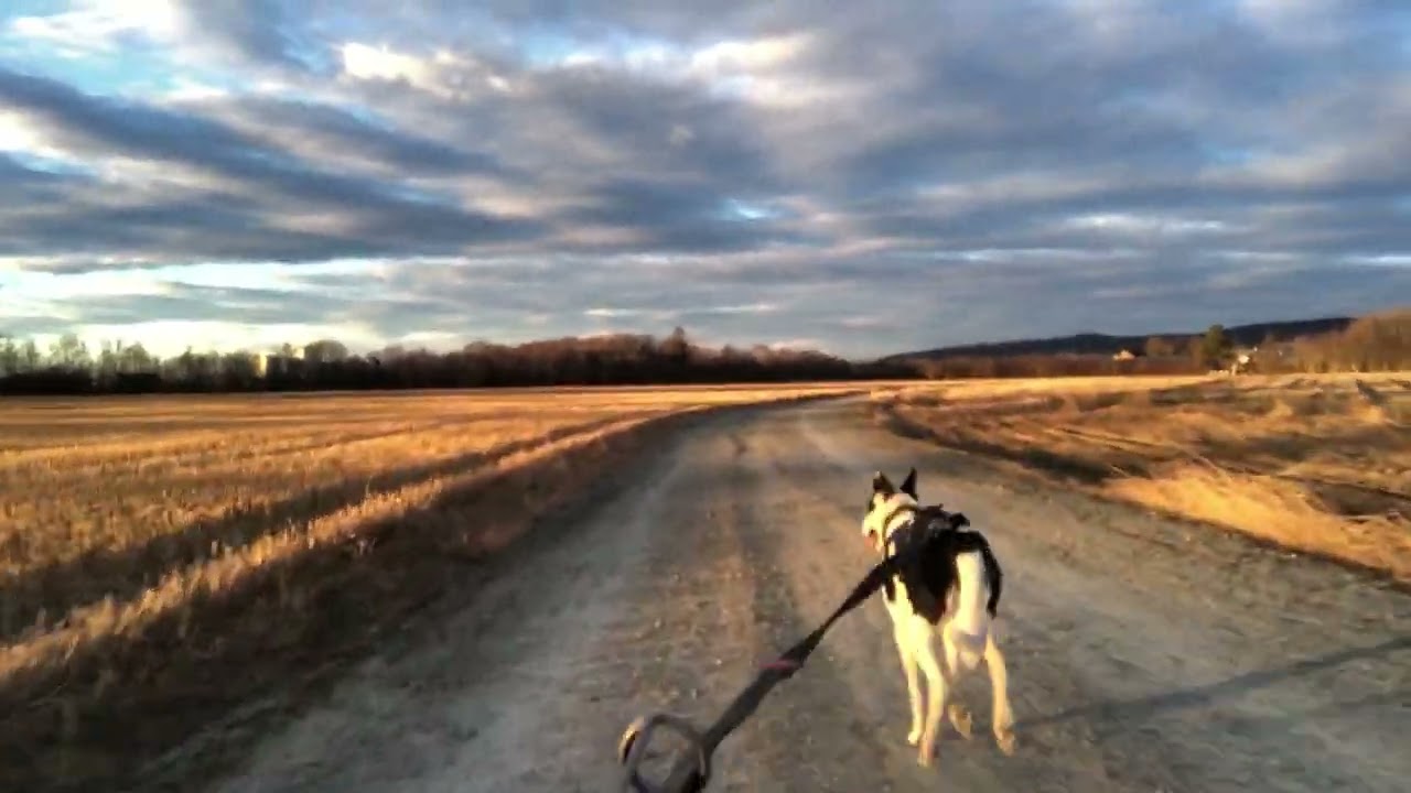 Kickbike trip with Cassie and my dad