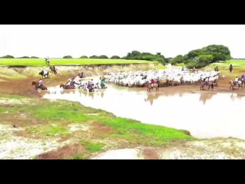 TRANQUERO ABIERTO - MILTON CRUZ " EL JIRIUELITO"