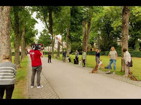 Hundeführerschein in Bayern?