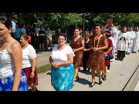 Procesija - Mlada Misa - fra Silvio Zlatarević