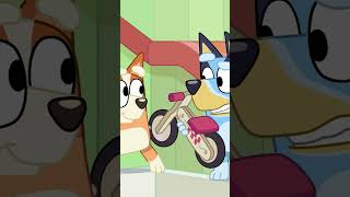 Bingo and Bluey can't agree!🫣🧡 | Bingo - Official Channel