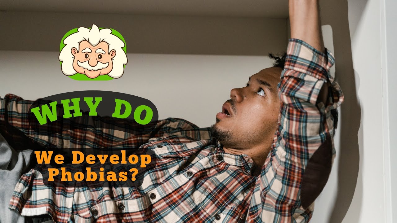 Why Do We Develop Phobias? The Science Behind Our Deepest Fears