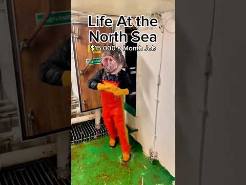 $15,000 a month to work at the North Sea #northsea #waves #ship