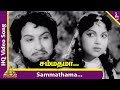 Sammathama Video Song Nadodi Mannan Movie Songs MGR Saroja Devi Pyramid Music