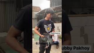 Download lagu Rubby Pakhoy ngawinkan Ayam Adu4n #Short mp3