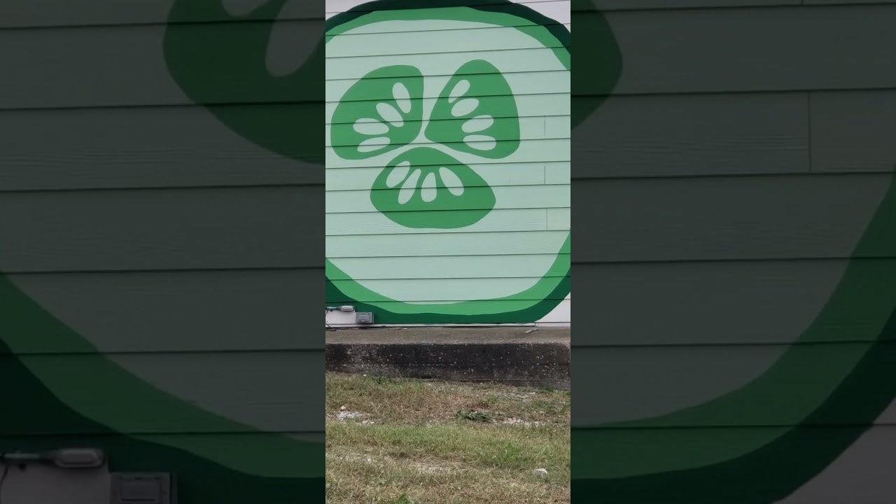 Cannelton Indiana is getting a new Mural. and a new business. will get another video when its done.