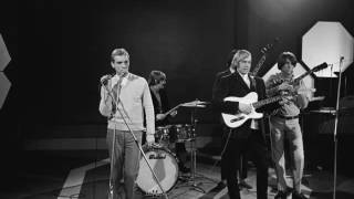 The Golden Earrings Don&#39;t Wanna Lose That Girl