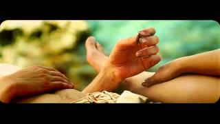 THE DOVE & THE WOLF - The Words You Said