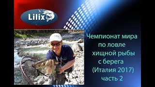 Ссылка