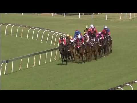 2018.03.03 Gauteng Guineas (RSA) - Monks Hood