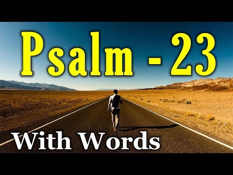 Psalm 23 Reading: Finding Peace in the Shepherd's Care (With words - KJV)