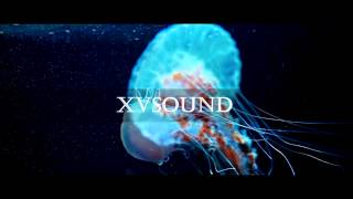 Flight Facilities - Heart Attack ft. Owl Eyes (Snakehips Remix) (UnOfficial Video)