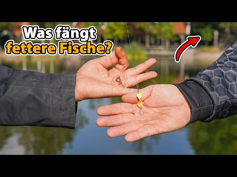 Amazing: Plum fishing at the trout pond like in the old days!