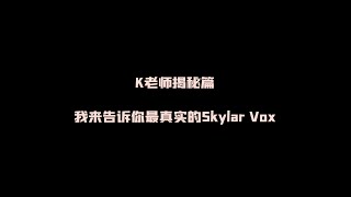 Download lagu K老师揭秘篇：我来告诉你最真实的Skylar Vox mp3