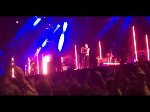 Queens of the Stone Age - Domesticated Animals (live in Curitiba 2018)