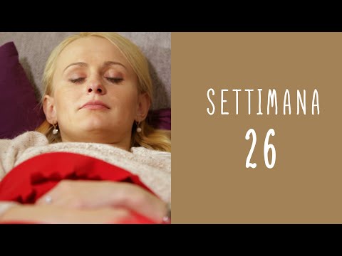 Calendario della gravidanza - settimana 26