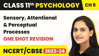 Sensory, Attentional & Perceptual Processes - One Shot Revision | Class 11 Psychology Chapter 5