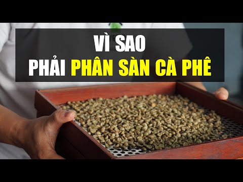 Vì sao phải PHÂN SÀN CÀ PHÊ?