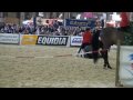 SALON DU CHEVAL PARIS DEMONSTRATION NOVEMBRE2009 DOMAINE DE RABREUX 42