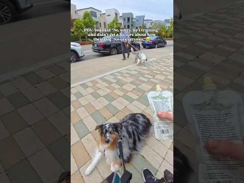 No guilt. No awkwardness. Just mutual respect and leash manners❤️🥹✨ #dog #dogs #dogshorts #doglife