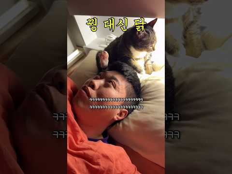 발 페티쉬 있는 고양이 집사
