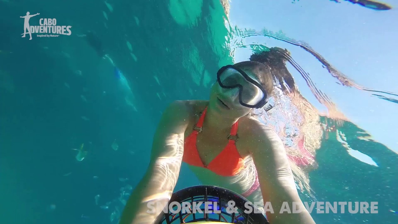 Snorkeling in Cabo San Lucas, Go Kayaking & Paddle Boarding
