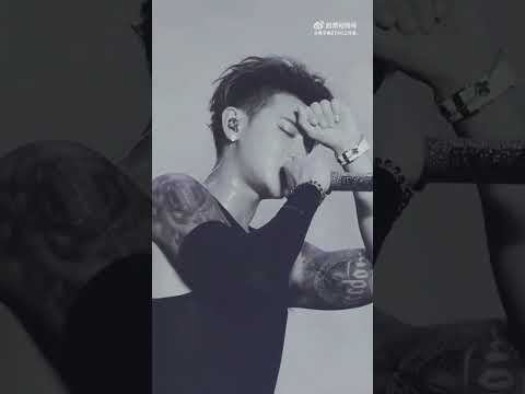 Z.Tao Ending后果