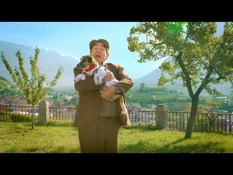 Ville de Sierre - 2 - La naissance de Sierre et de ses quartiers