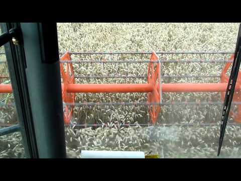 Vergauwe K&P: tarwe oogst 2010 Claas Mega 360 moisson blé wheat harvest