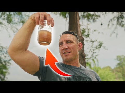 How to Purify Water Anywhere