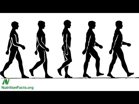 How Much Should You Exercise