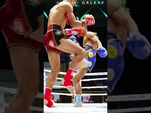 Muay Thai Shin Clash