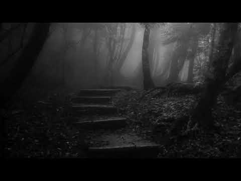 Save ( Checkpoint ) - Mutation 1: The cursed village.