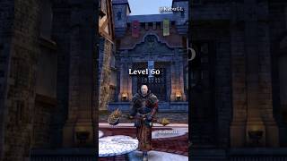 Warhammer Online Human Level 1 to 80 Warrior Priest 2024 #mmo #warhammer #mmorpg #warhammerfantasy