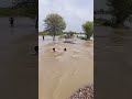 Flood In Satluj River Pakistan River Satluj Update Head Sulemanki Head Ganda Singh Flood Yt