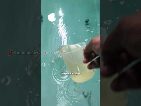 Ikan paling sulit diternakkan #faktaunik #munandartv