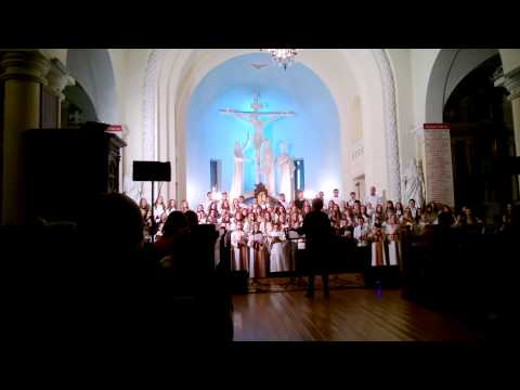 Vilkaviškio vyskupijos chorų festivalis 2013 - Pakilk ir šviesk, Dievo Bažnyčia