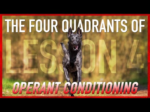 Understanding The Four Quadrants of Operant Conditioning. Dog Training