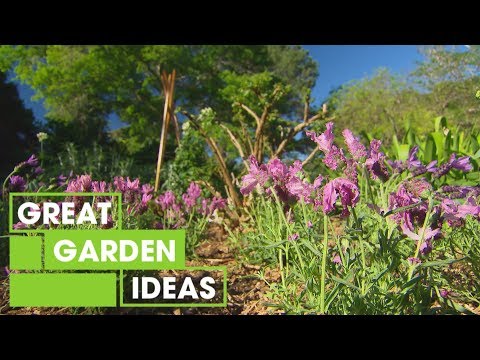 Spring Garden Tips: Part 2 | Gardening | Great Home Ideas