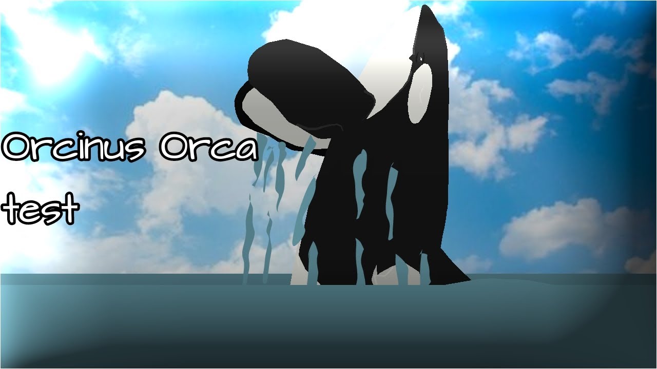 Orcinus Orca Stk test
