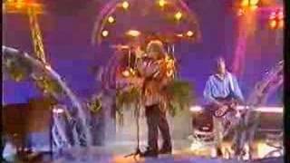 Milltown Brothers - Apple Green - Wogan