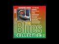 Roosevelt Sykes - '44' Blues [Full Album]