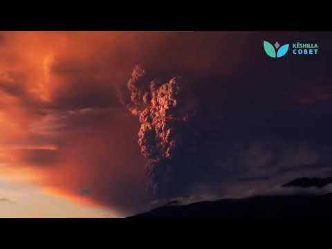 3. Sinqeriteti - Hoxhë Kujtim Ameti