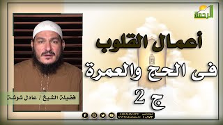 أعمال القلوب فى الحج والعمرة ج 2 قضايا معاصرة للشيخ عادل شوشة