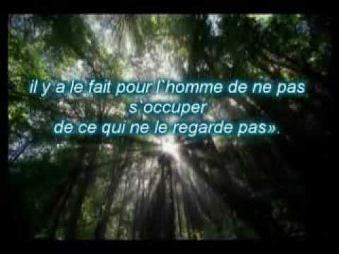 40 de Nawawi Hadith 12