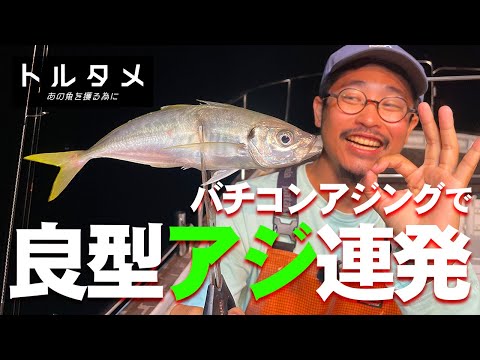 バチコンアジングが面白い！ビッグなアジを釣りまくる！ / 【 トルタメ #3 】